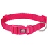 Papírenské zboží - Halsband PREMIUM – Fuchsia XXS-XS: 15–25 cm/10 mm