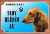 Papírenské zboží - Farbschild Achtung Hund, Langhaardackel